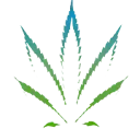 CBD BioCare